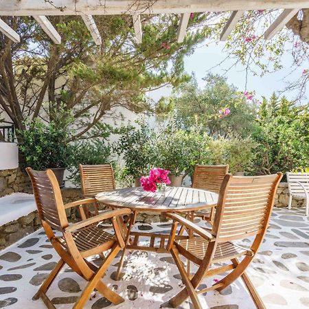 Dominique & Carlos Place Mykonos Town ภายนอก รูปภาพ