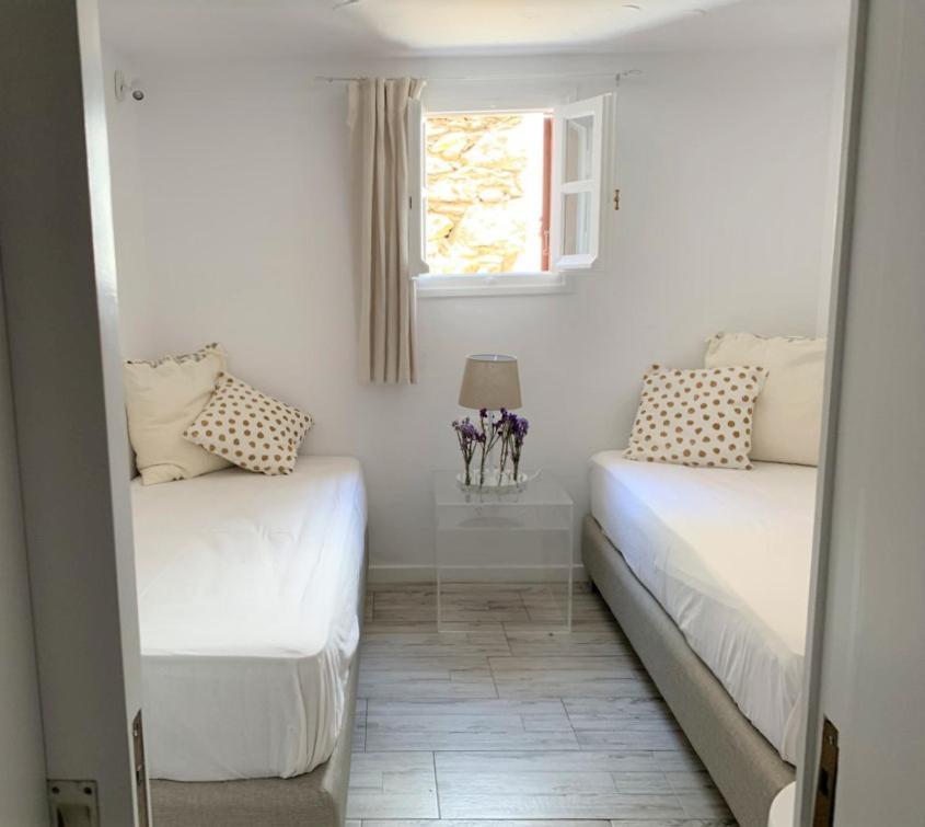 Dominique & Carlos Place Mykonos Town ภายนอก รูปภาพ